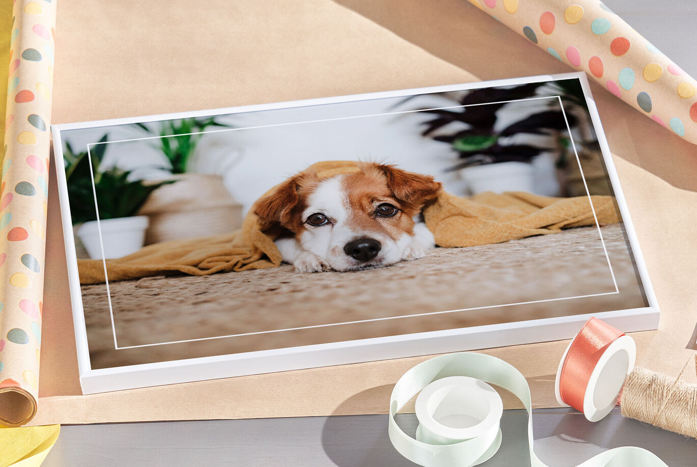 Un chien mignon est blotti dans une serviette jaune sur un tapis, avec des plantes en arrière-plan.