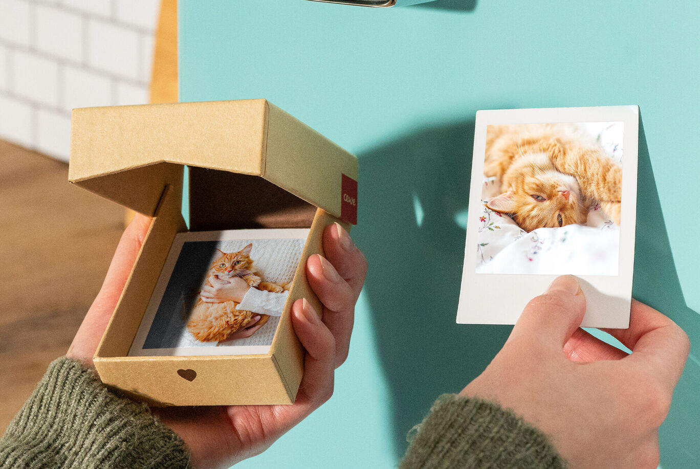 Une personne tient un Polaroid d'un chat mignon dans une main, et une boîte avec d'autres photos dans l'autre.